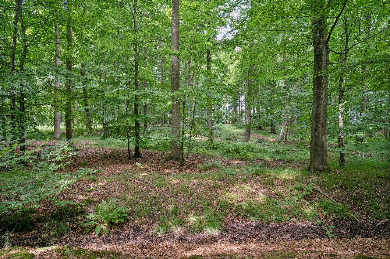 image 04