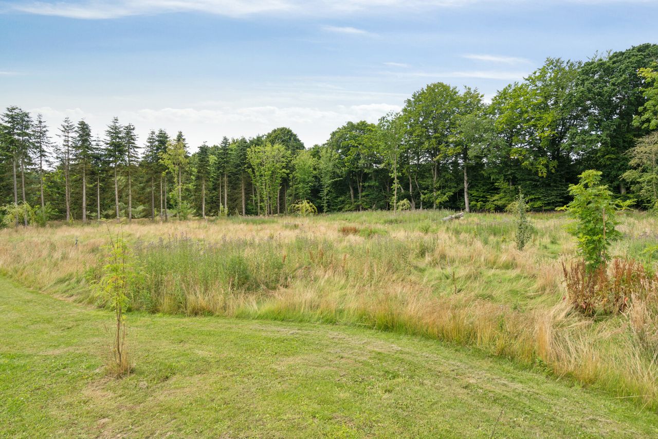image 03
